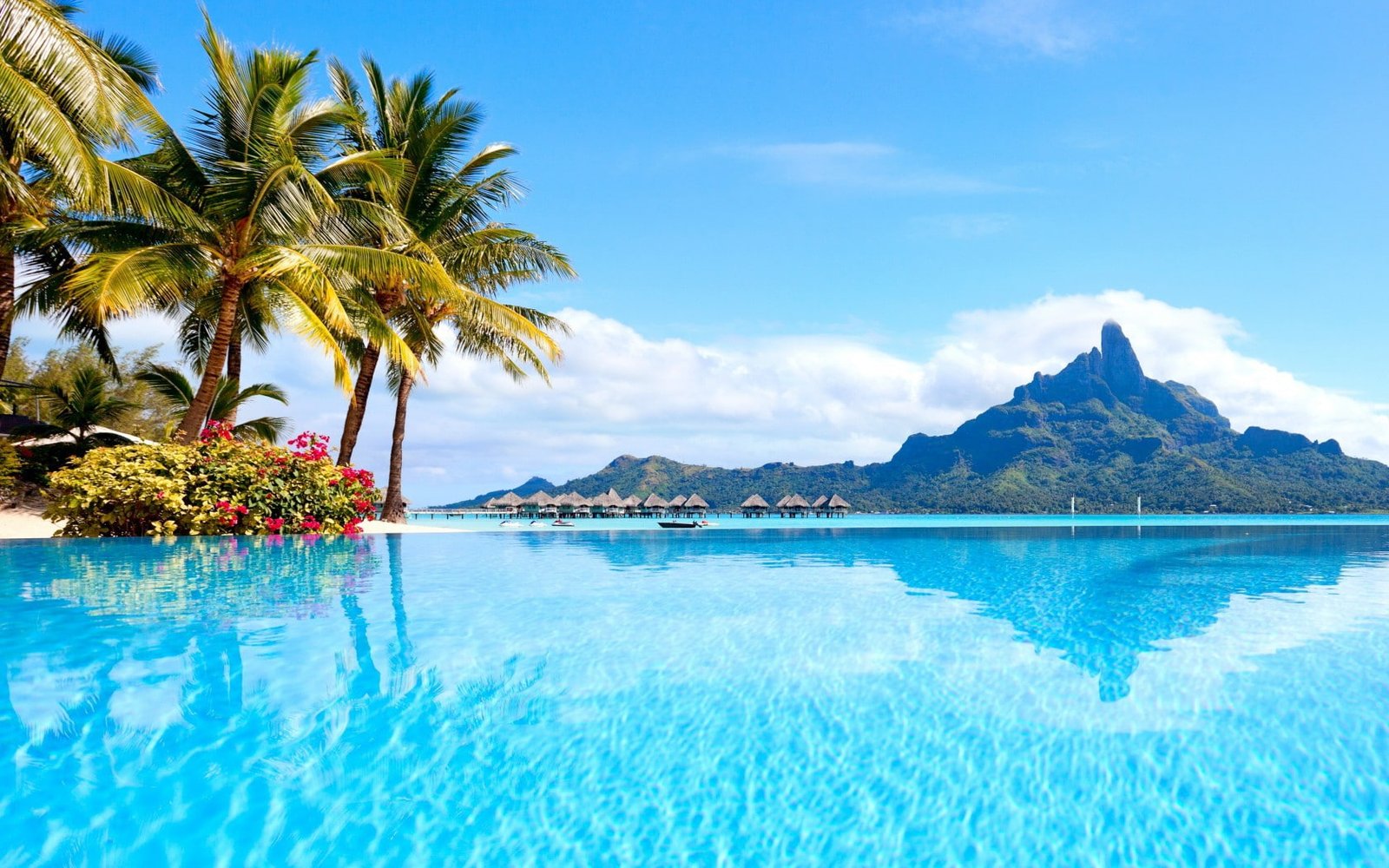 Summertime Sea tropical paradise beach palms Ocean sunshine 2k