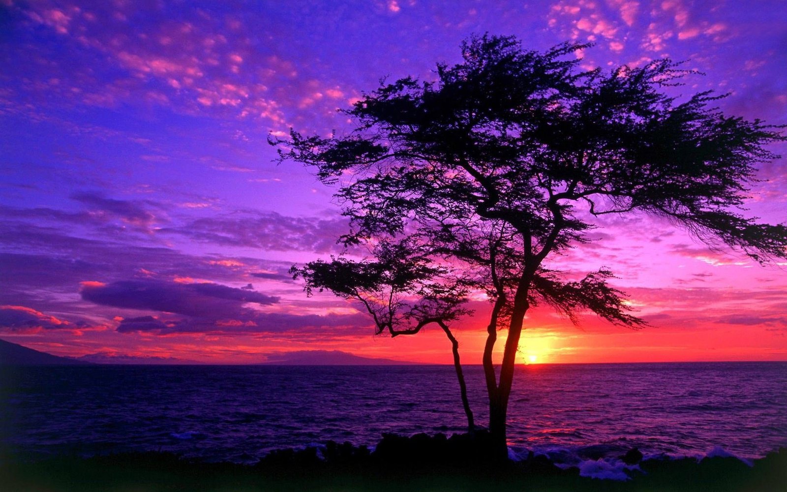 sunset images for desktop background sky sea water beauty in nature 2k