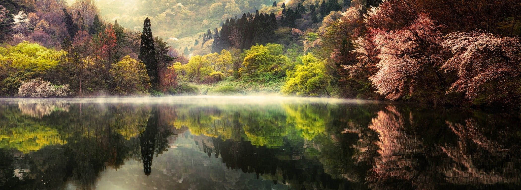 tall trees reflecting on calm body of water in landscape photography 88 2k