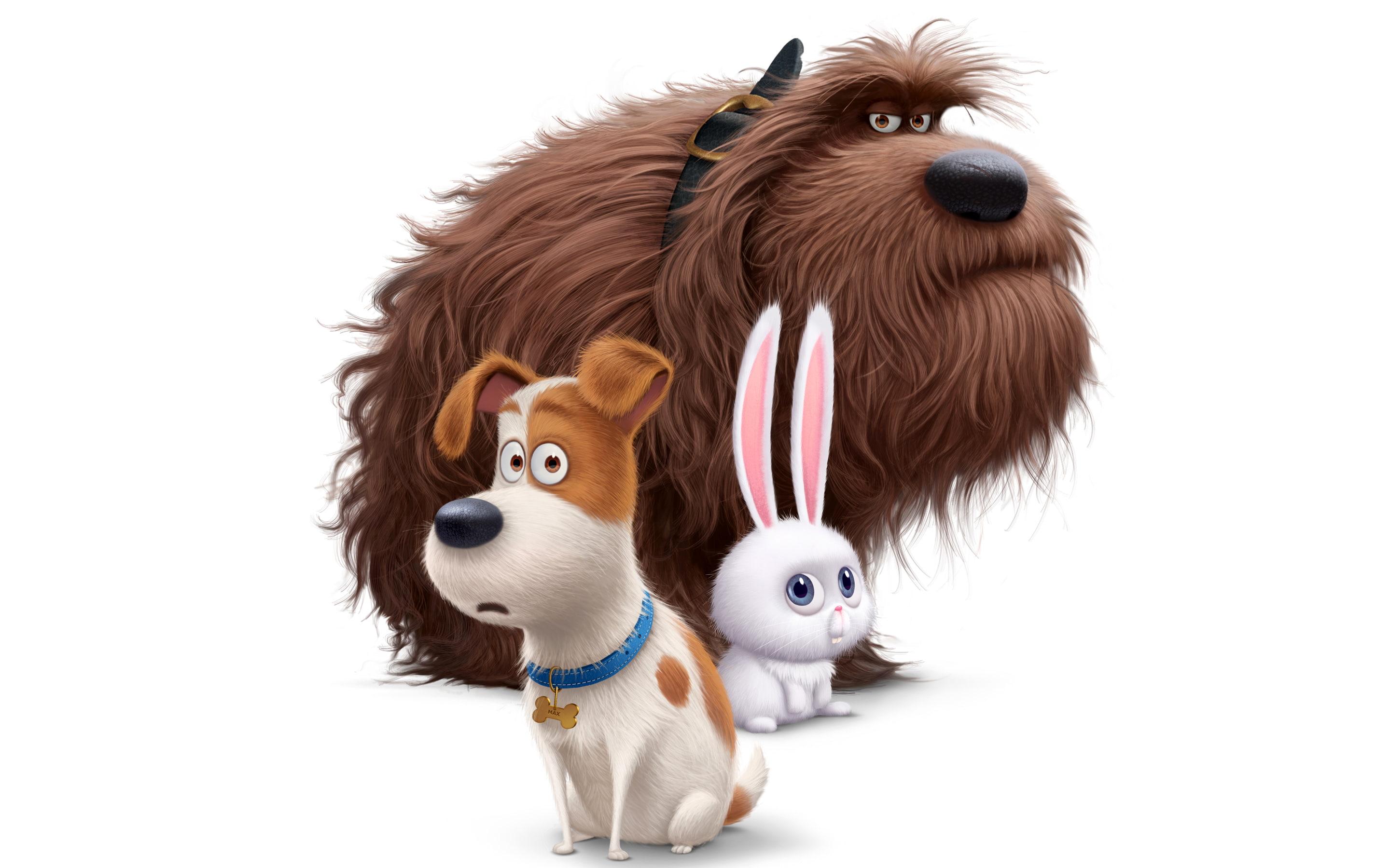 The Secret Life of Pets animal mammal themes 2k