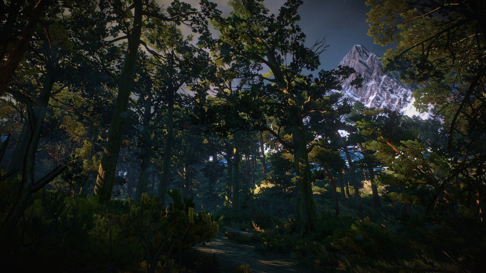 The Witcher 3 Wild Hunt video games Skellige tree plant 2k