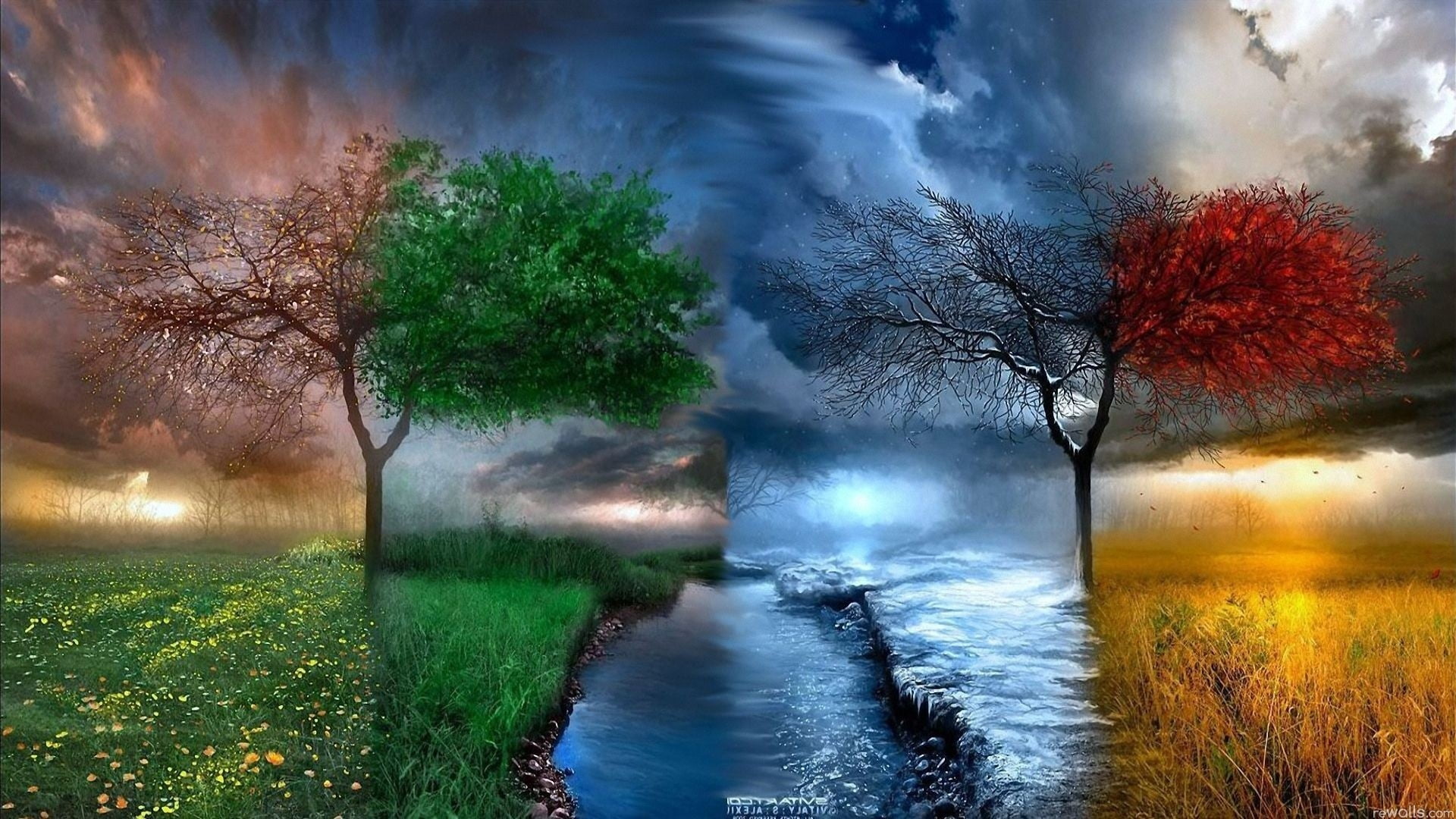trees in any weather digital wallpaper seasons spring summer 2k