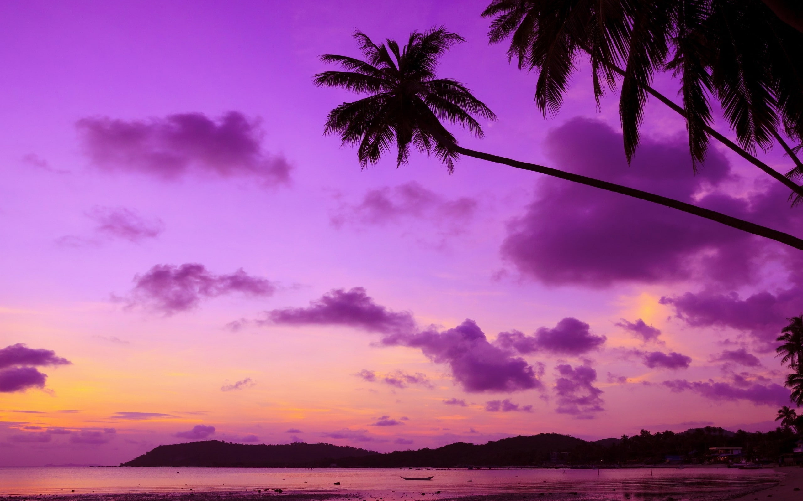Tropical Paradise silhouette of coconut tree during dawn beach 2k