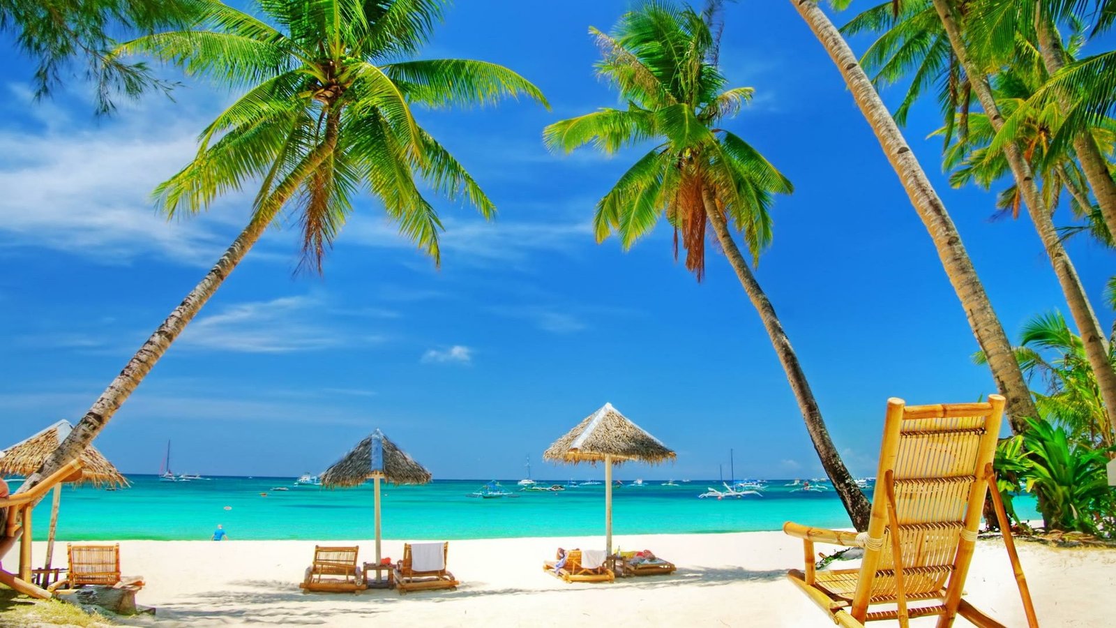 tropics caribbean vacation resort leisure palm tree sea 2k