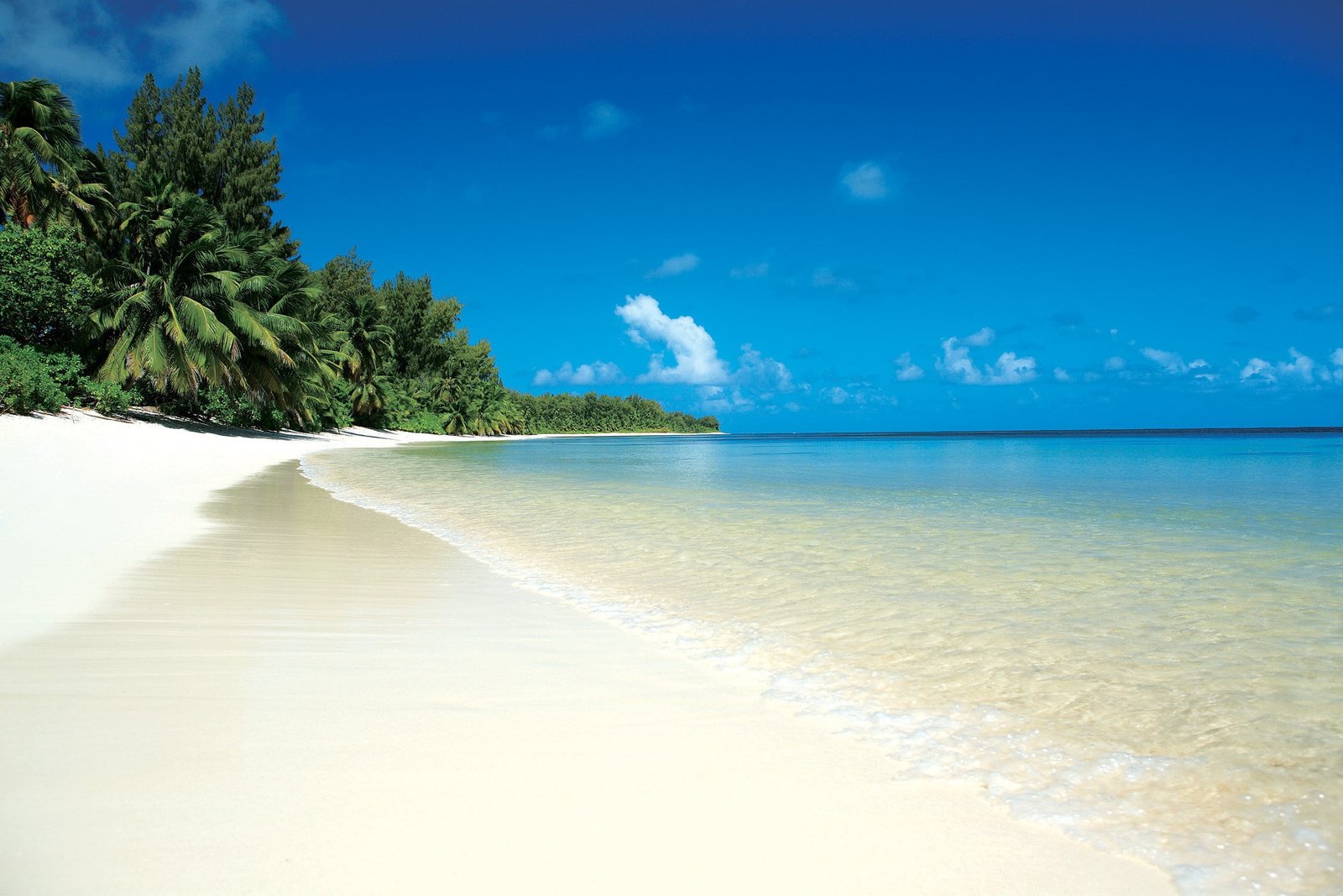beach sand nature landscape tropical sea water scenics 2k