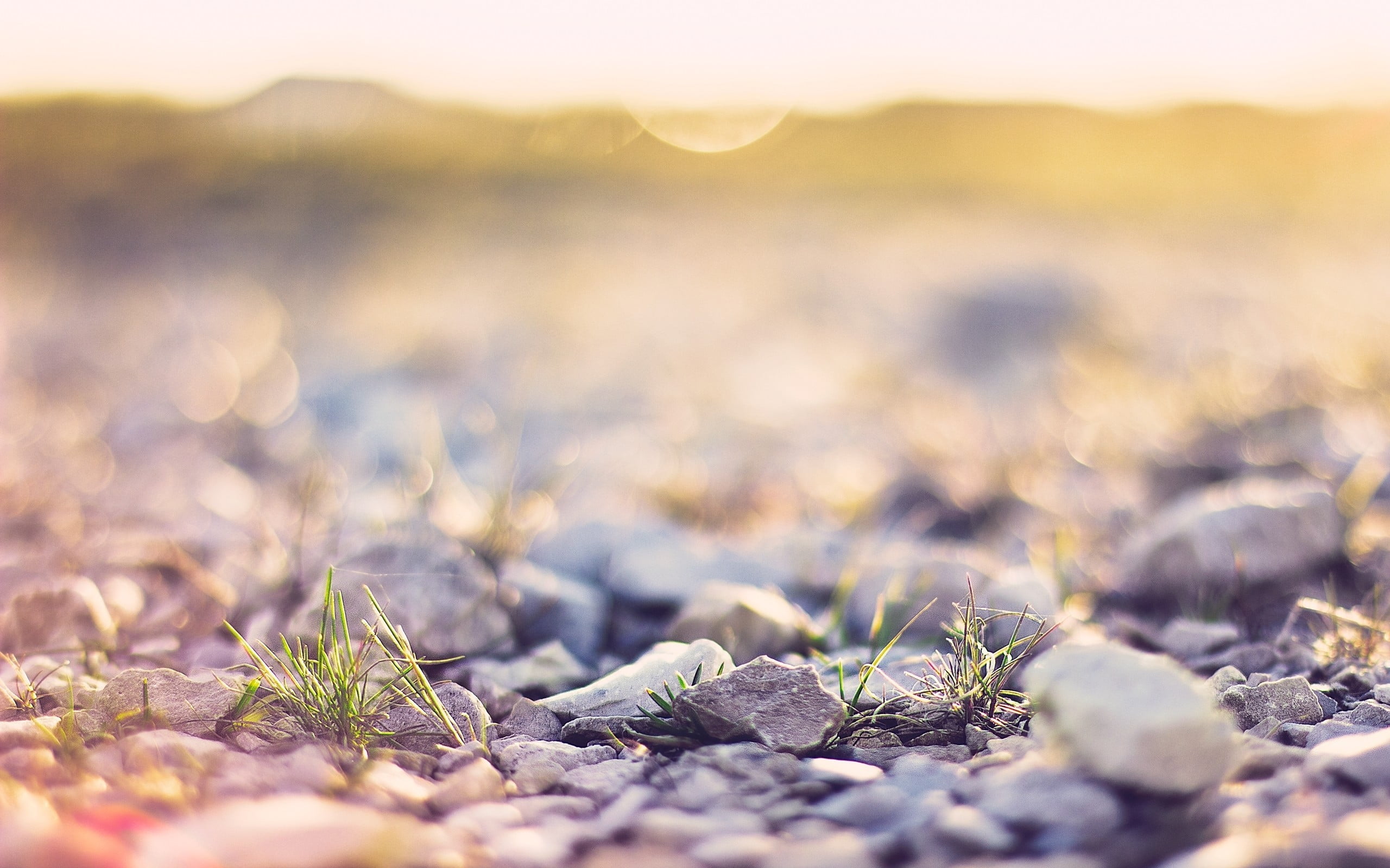 black and white pebble stone lot shallow focus photography of gray fragments 2k