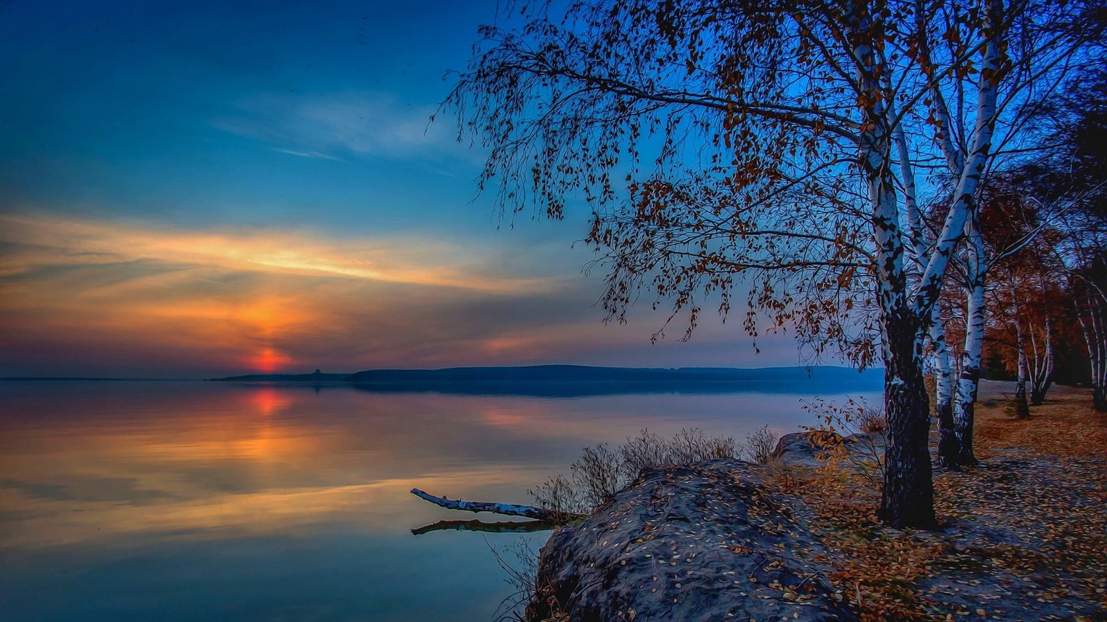 brown and white withered tree landscape nature lake sunset 2k