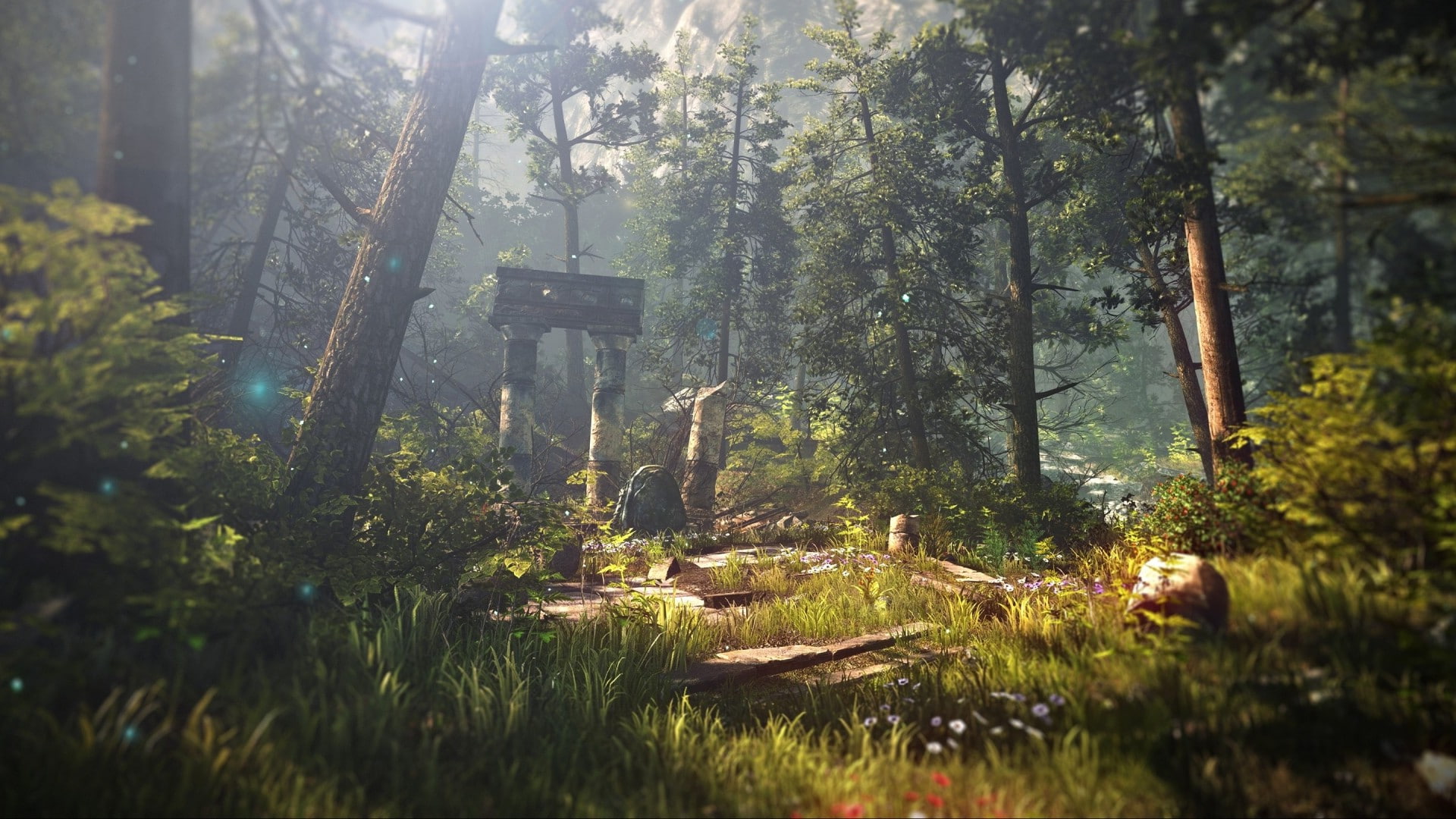 forest nature The Witcher 2 Assassins Of Kings tree plant 2k