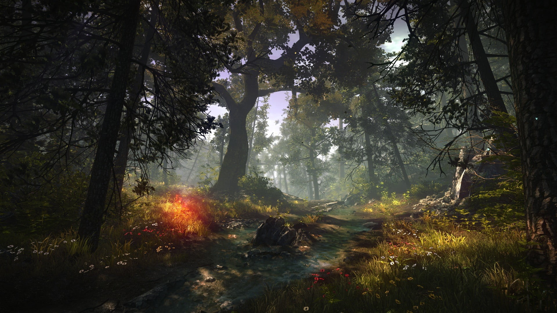 green leafed trees illustration The Witcher 2 Assassins of Kings 2k