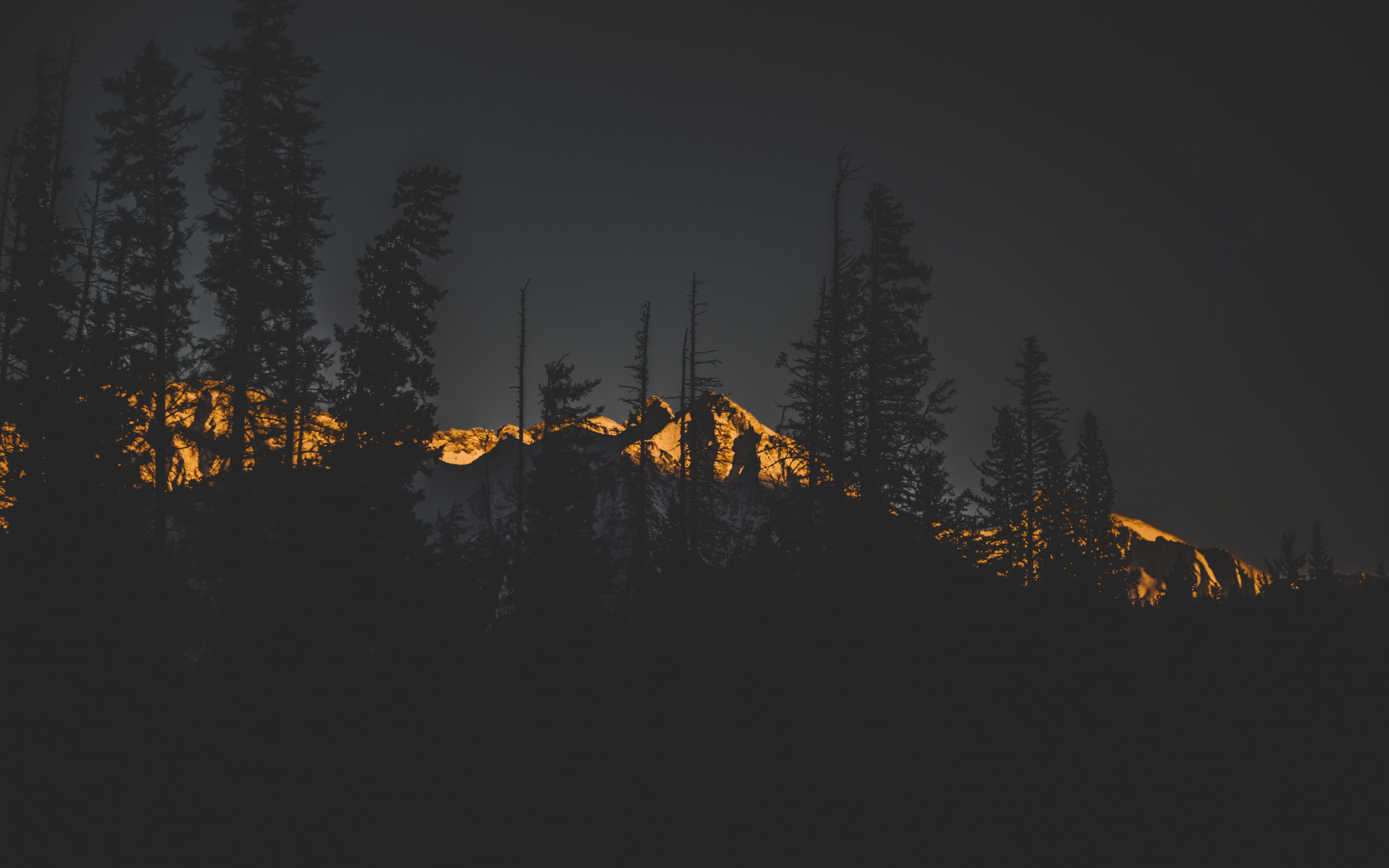 landscape photo on mountain alps silhouette of trees near white during sunset 2k 4k 5k