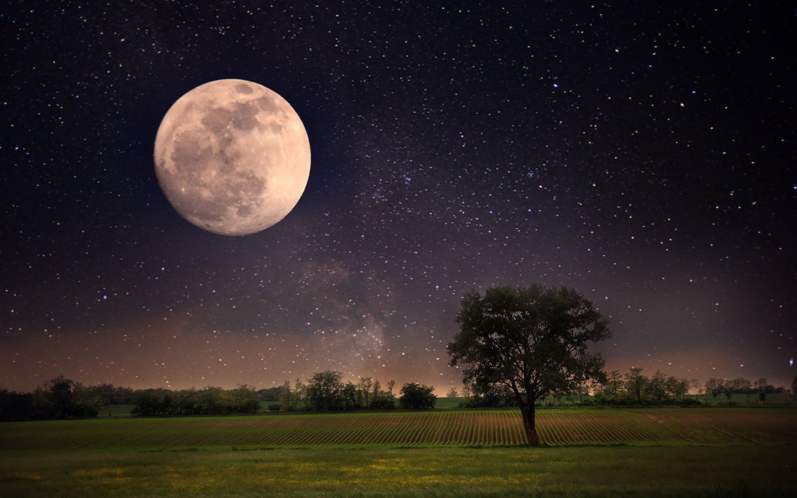 Moon night scene landscape stars full moon sky beautiful 2k