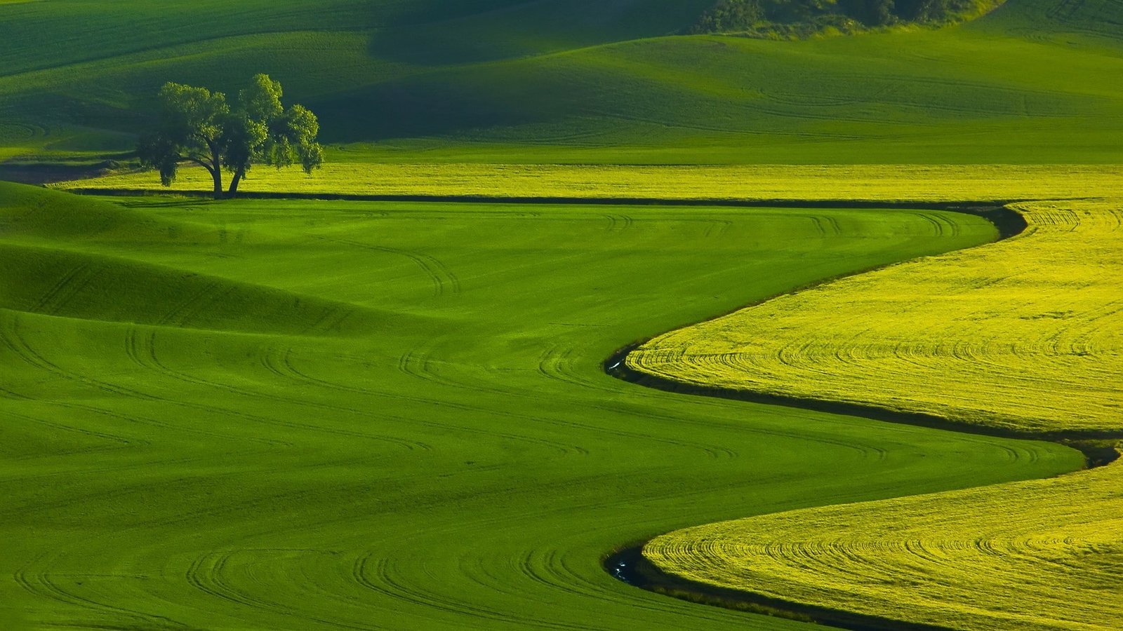 nature landscape trees green field hills 2k