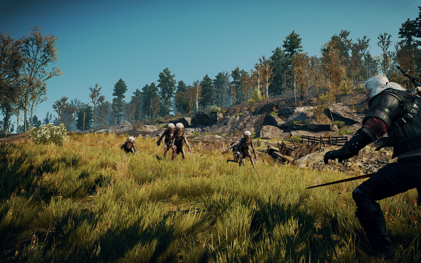 The Witcher 3 Wild Hunt Geralt of Rivia plant real people