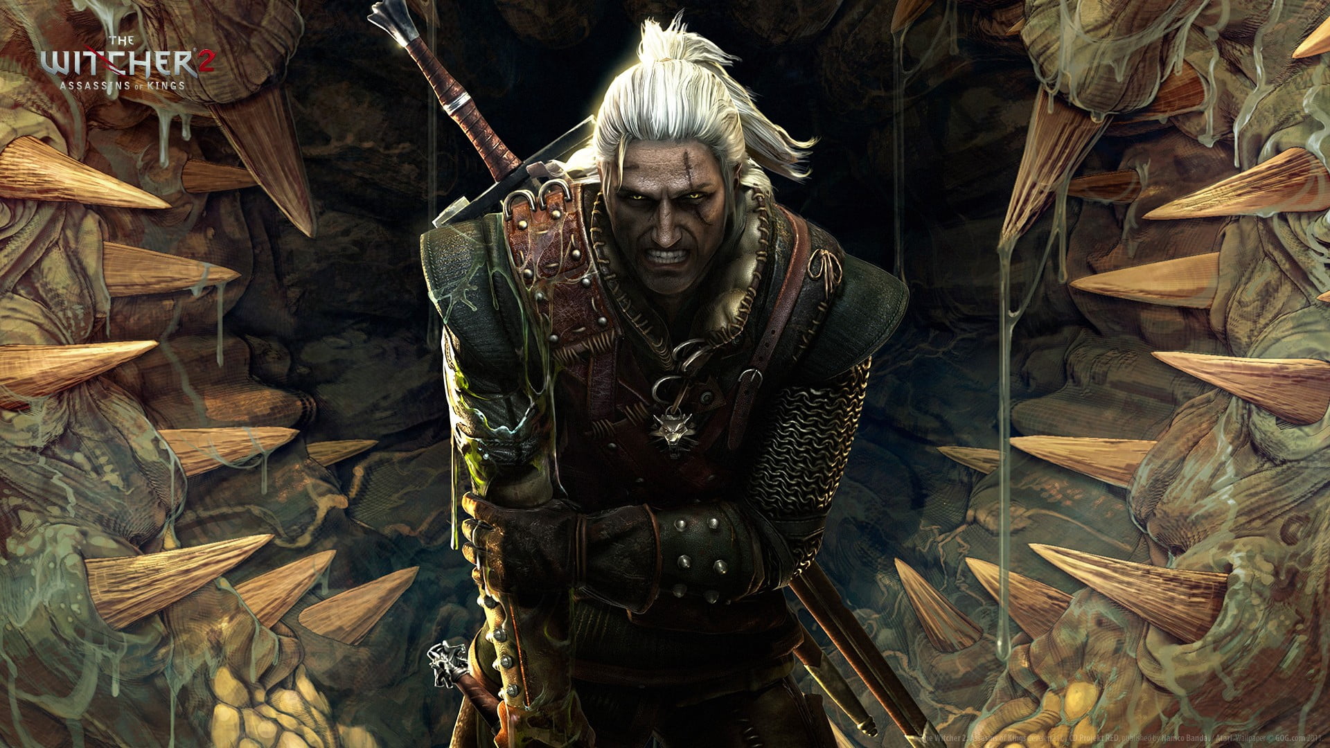 The Witcher game wallpaper 2 Assassins of Kings 2k