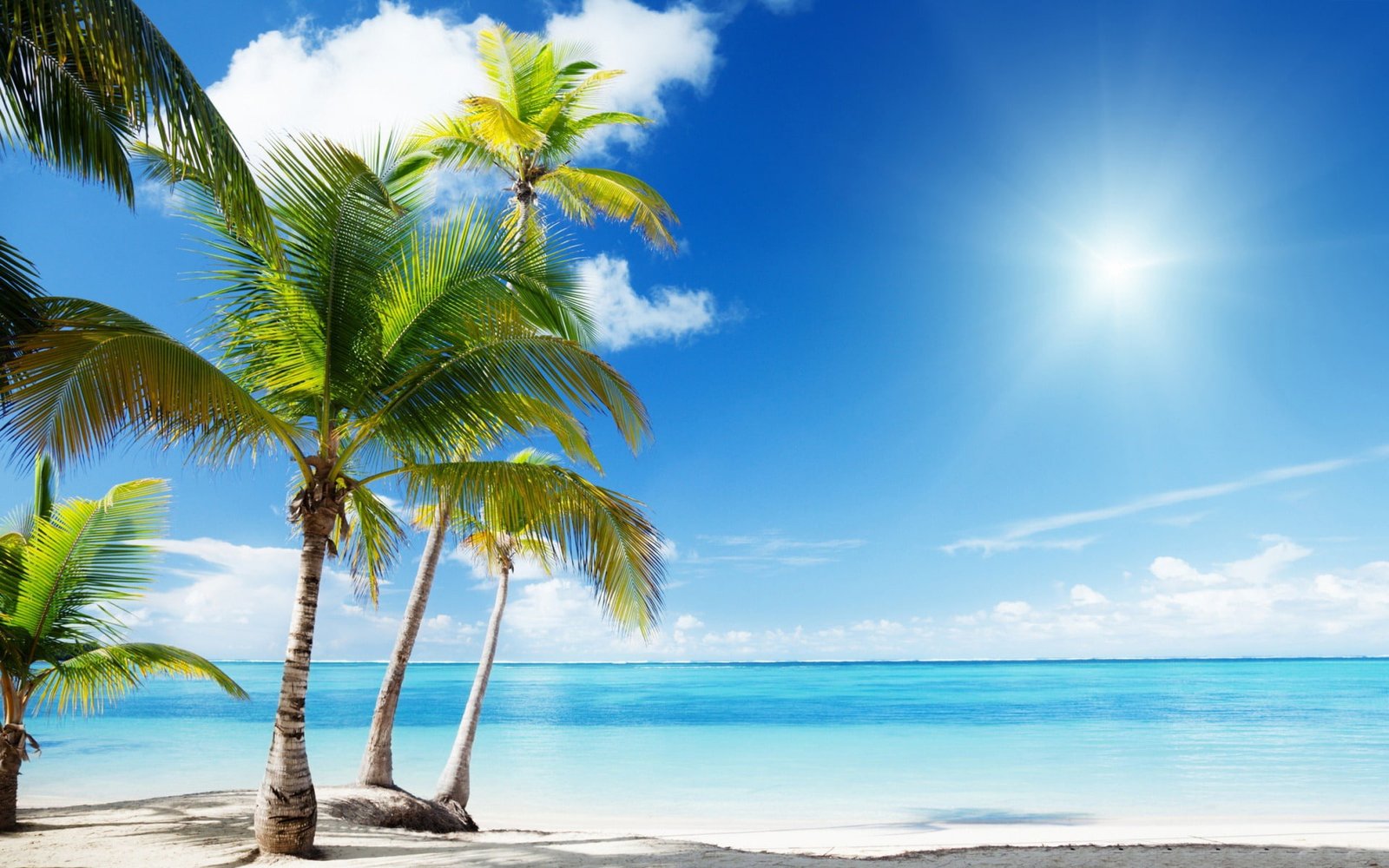 Tropical beach paradise sunshine Summer Scenery HD water tropical climate 2k