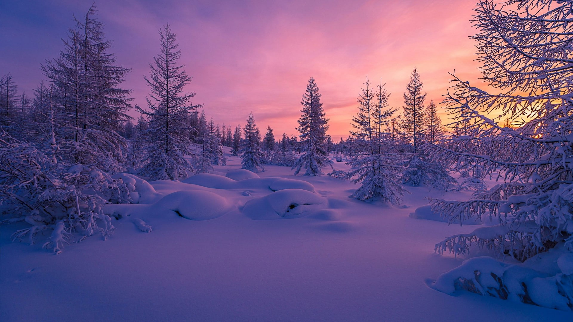 winter snow blue sky nature freezing sunset wilderness 2k