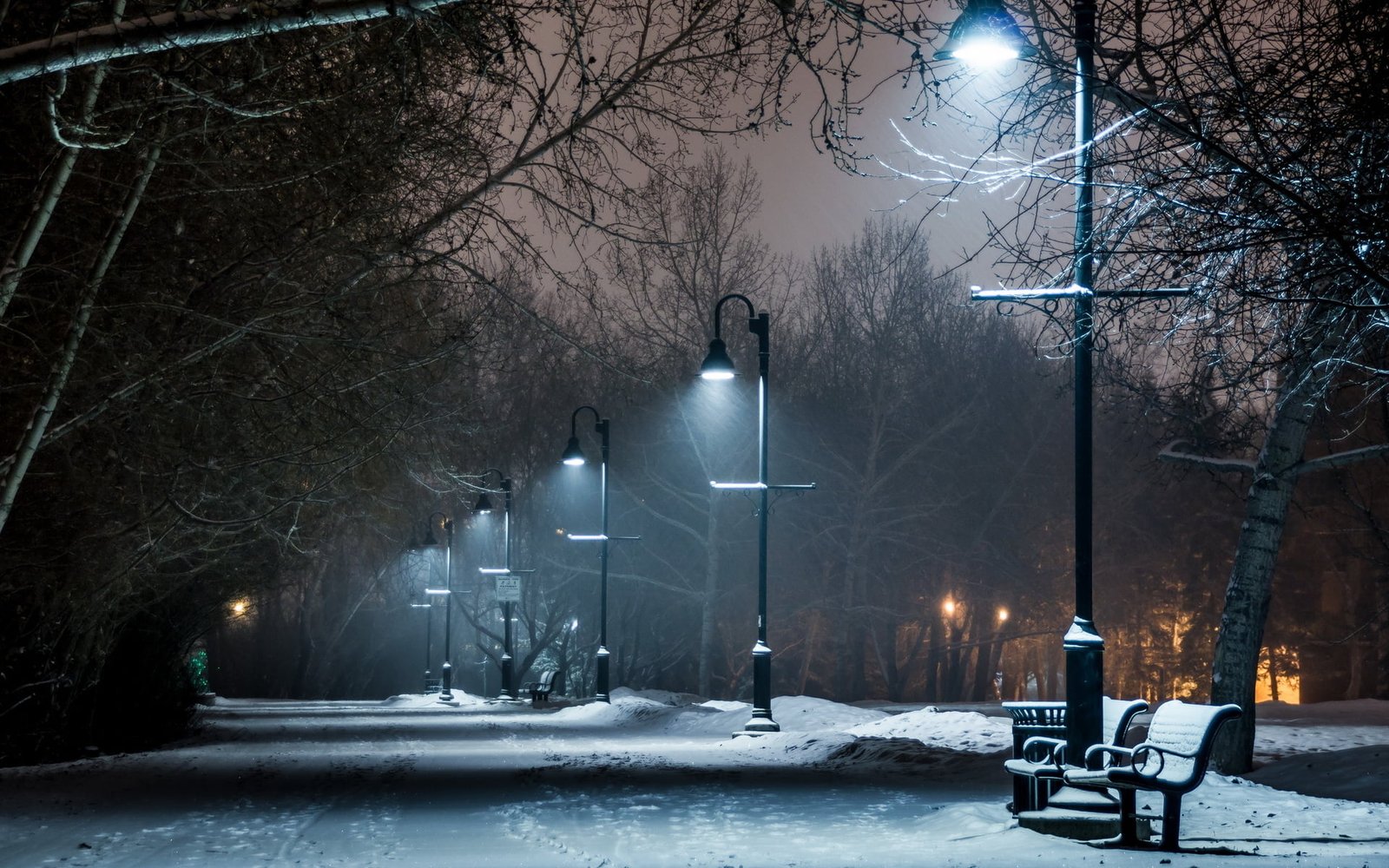 bare trees park winter bench night lights path snow street light 2k