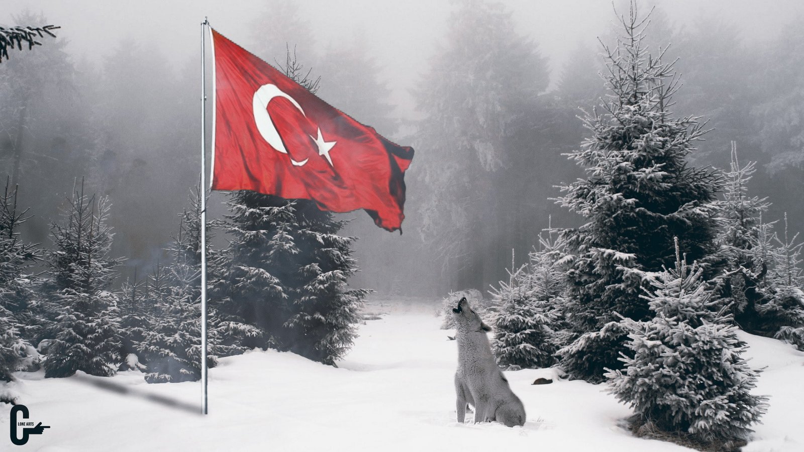 bozkurt forest nature snow wolf 2k