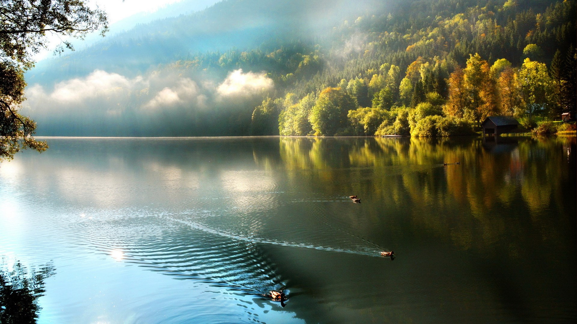 download nature background images water reflection 2k