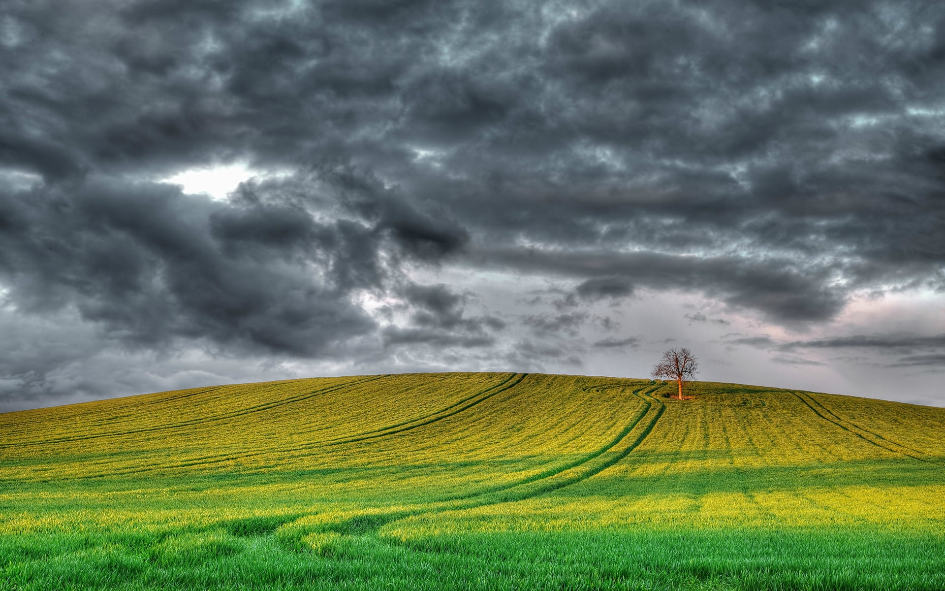 England scenery fields tree cloudy sky 2k