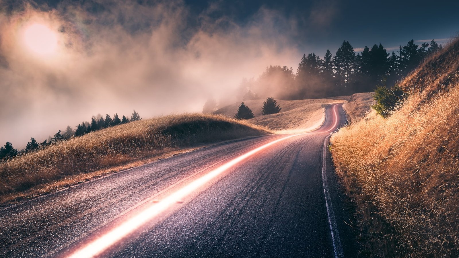 gray asphalt road near trees digital wallpaper nature landscape 2k