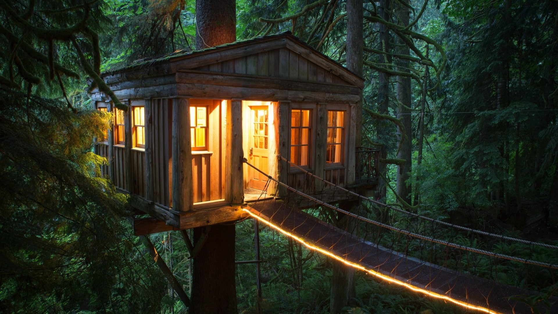 lights trees yellow cozy tree house warm door bridge 2k