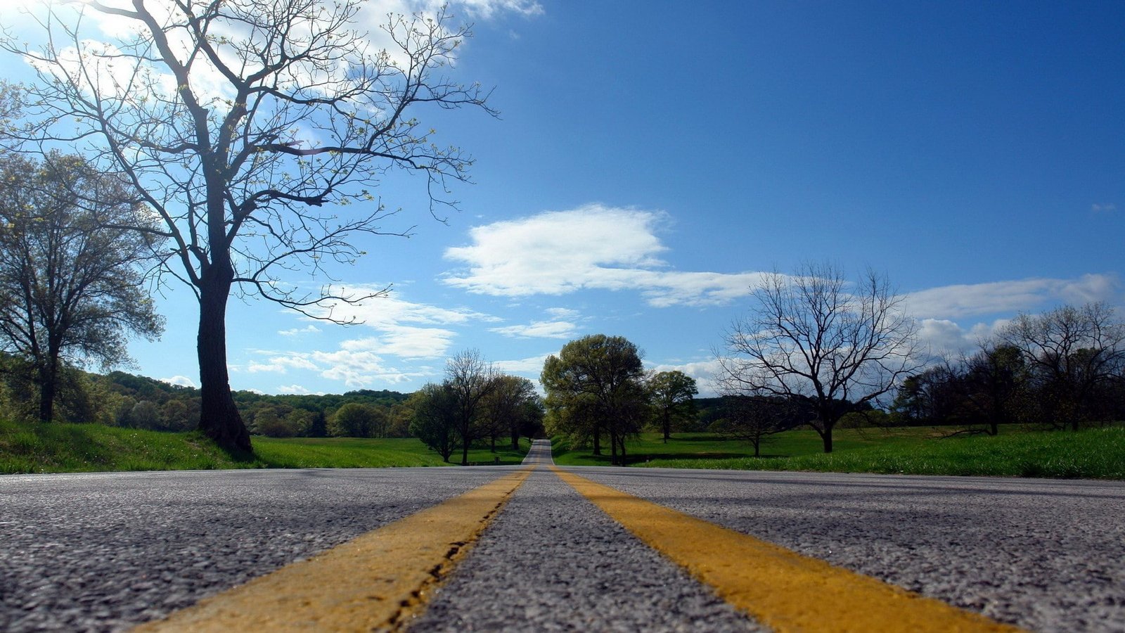 pc hd p nature tree road sky the way forward 2k