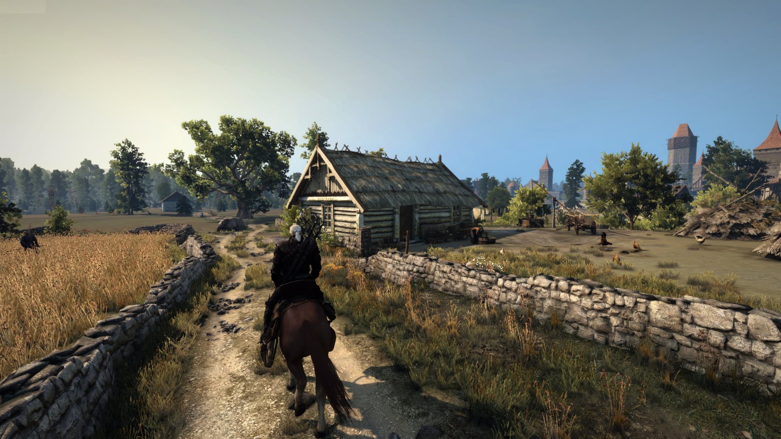 The Witcher 3 Wild Hunt field village outskirts 2k