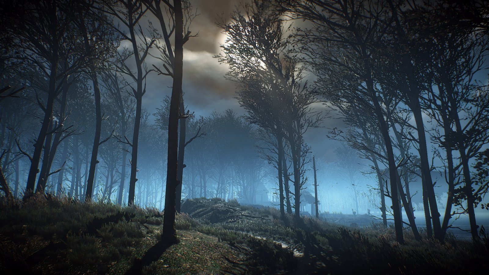 trees in the forest at night graphic wallpaper The Witcher 3 Wild Hunt 2k