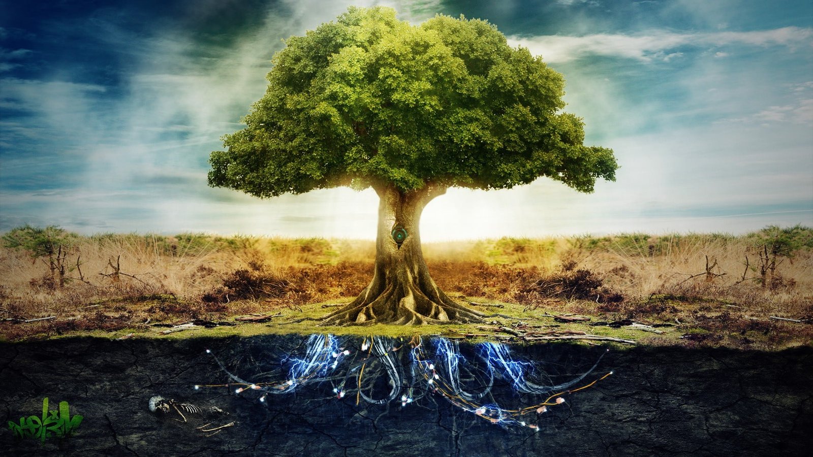 fantasy landscape sky tree summer grass plant season 2k