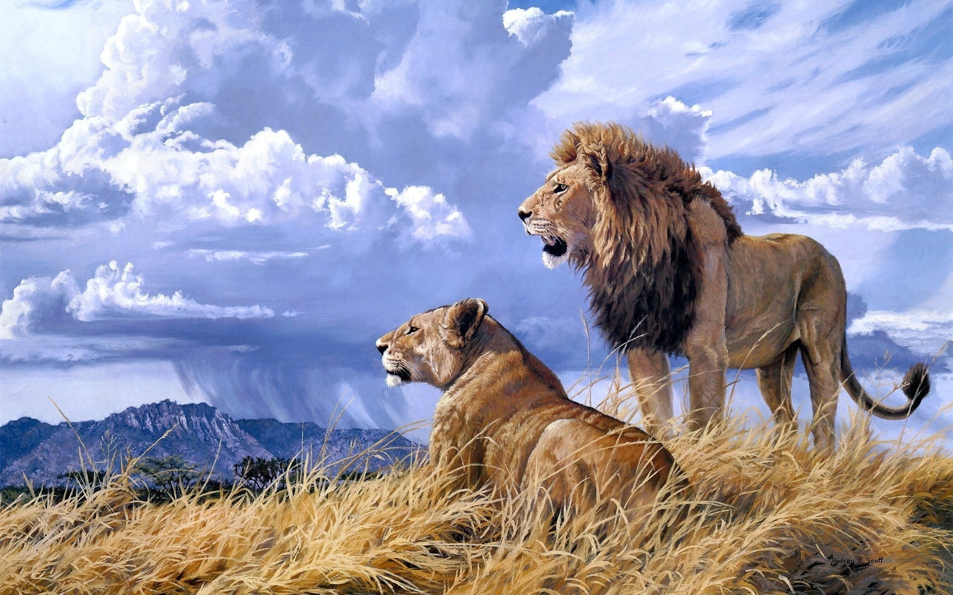 lion and lioness animals artwork nature big cats clouds 2k
