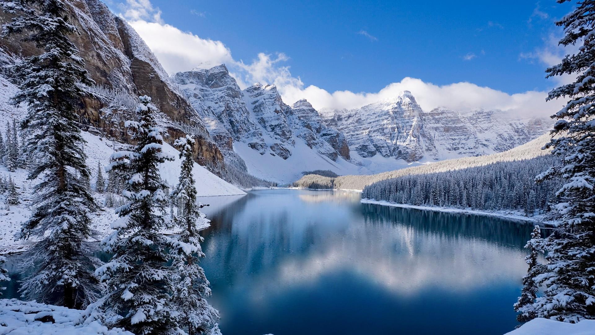 mountain range pine tree forest foerst canada moraine 2k