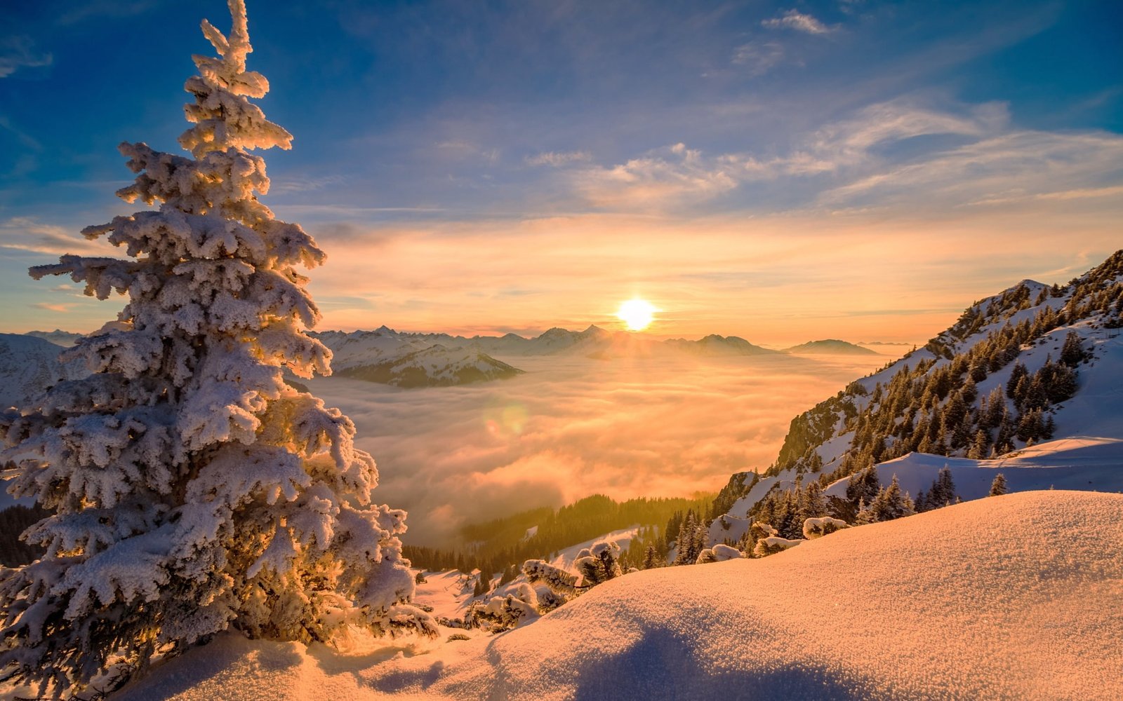 nature Sun winter pine trees snow mountains mist sunrise 2k