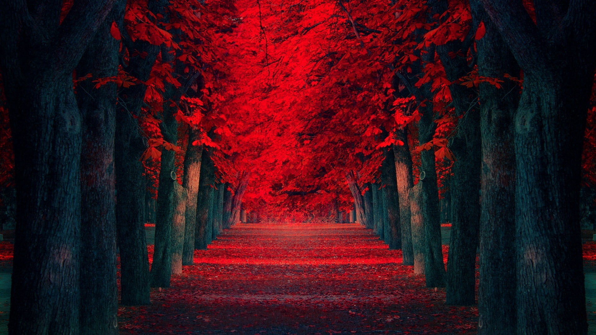 red flower trees nature leaves fall the way forward diminishing perspective 2k