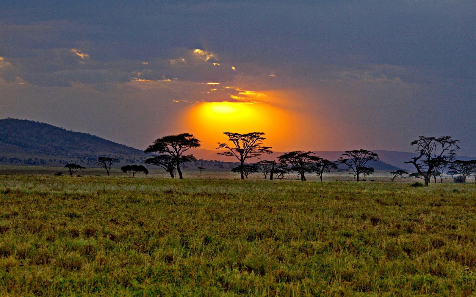 Savannah Sunrise africa kenya sunset nature and landscapes 2k