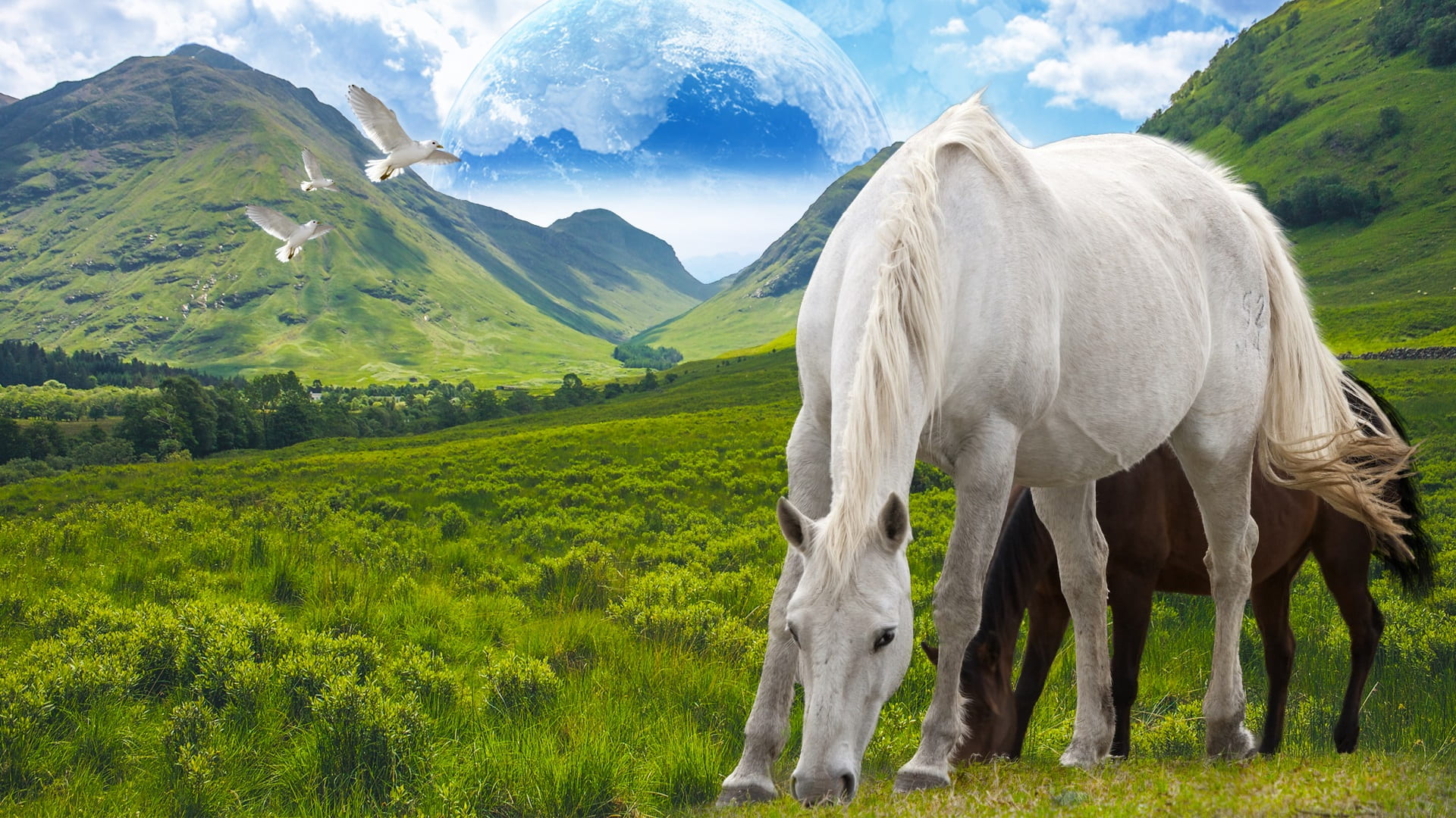 two white and brown horses eating grass graphic wallpaper stallion 2k