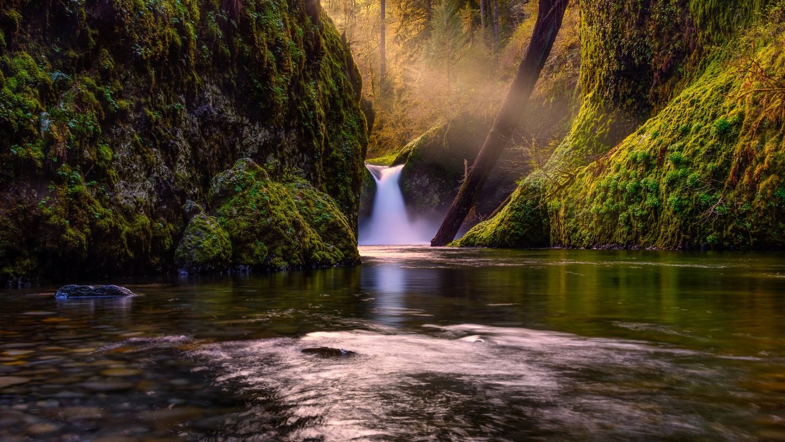 waterfalls with tress nature landscape trees forest lake 2k