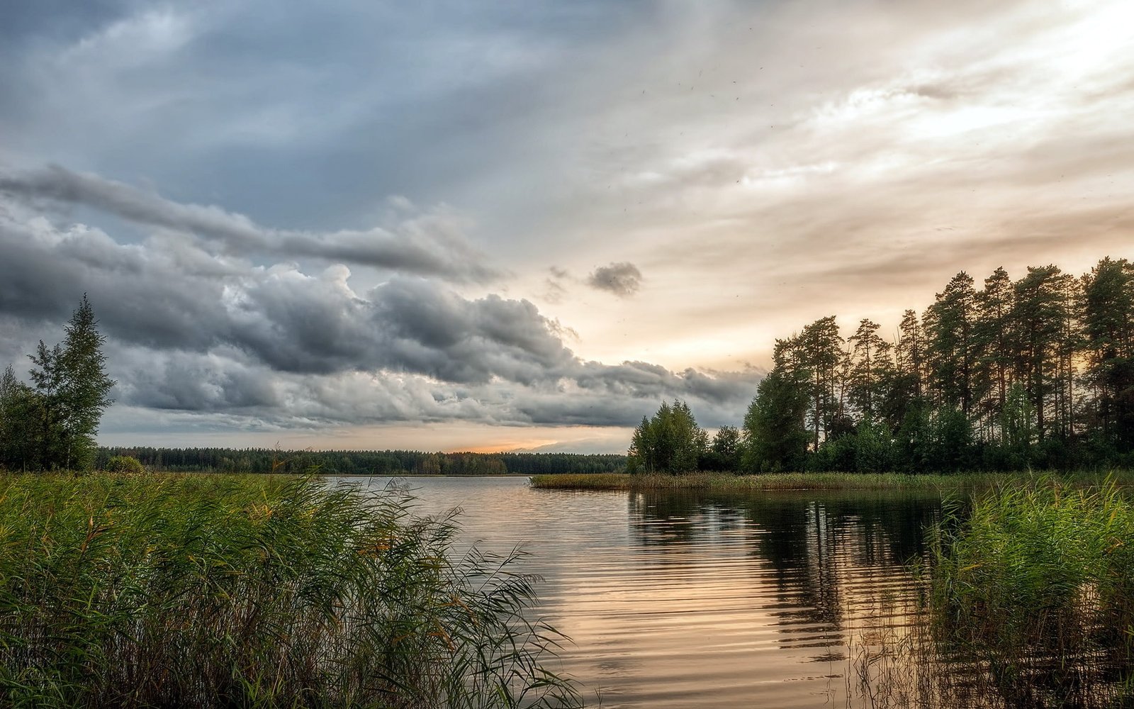 Nature beautiful scenery lake water trees cloudy sky 2k