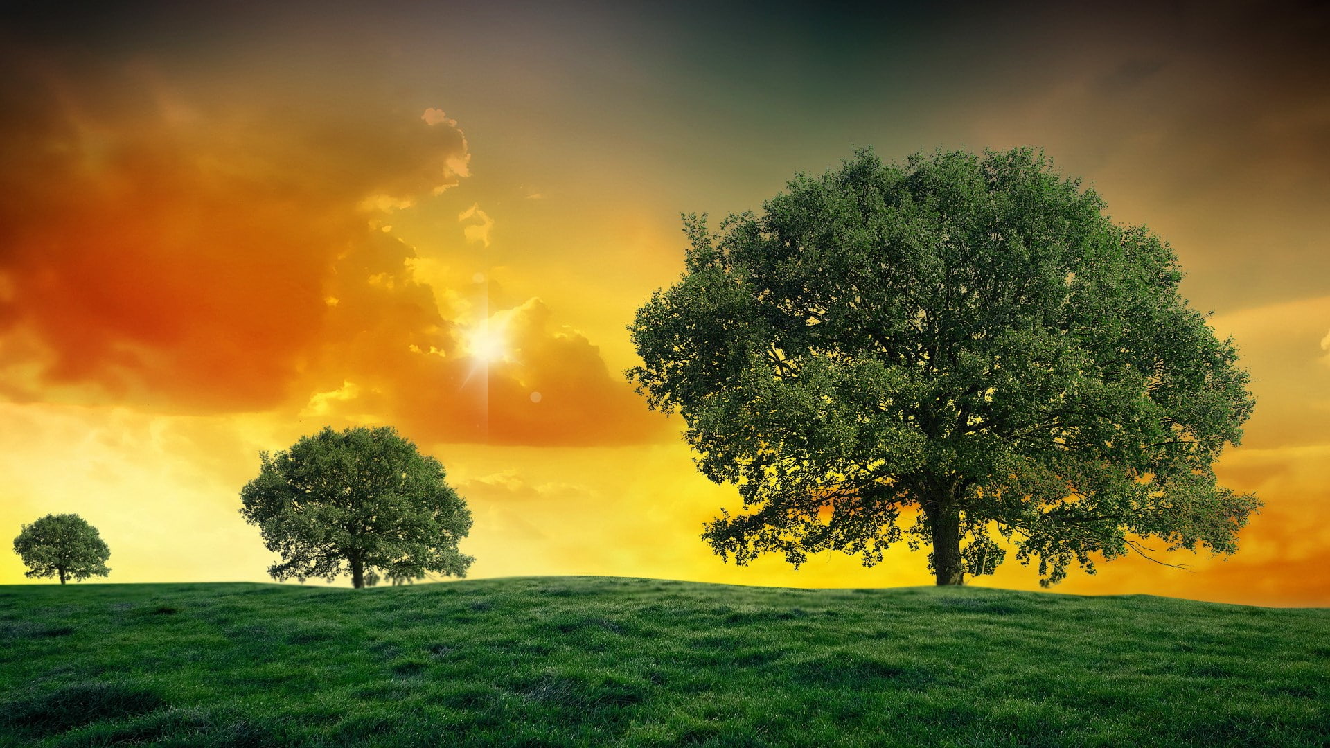 nature hd for pc download 2k