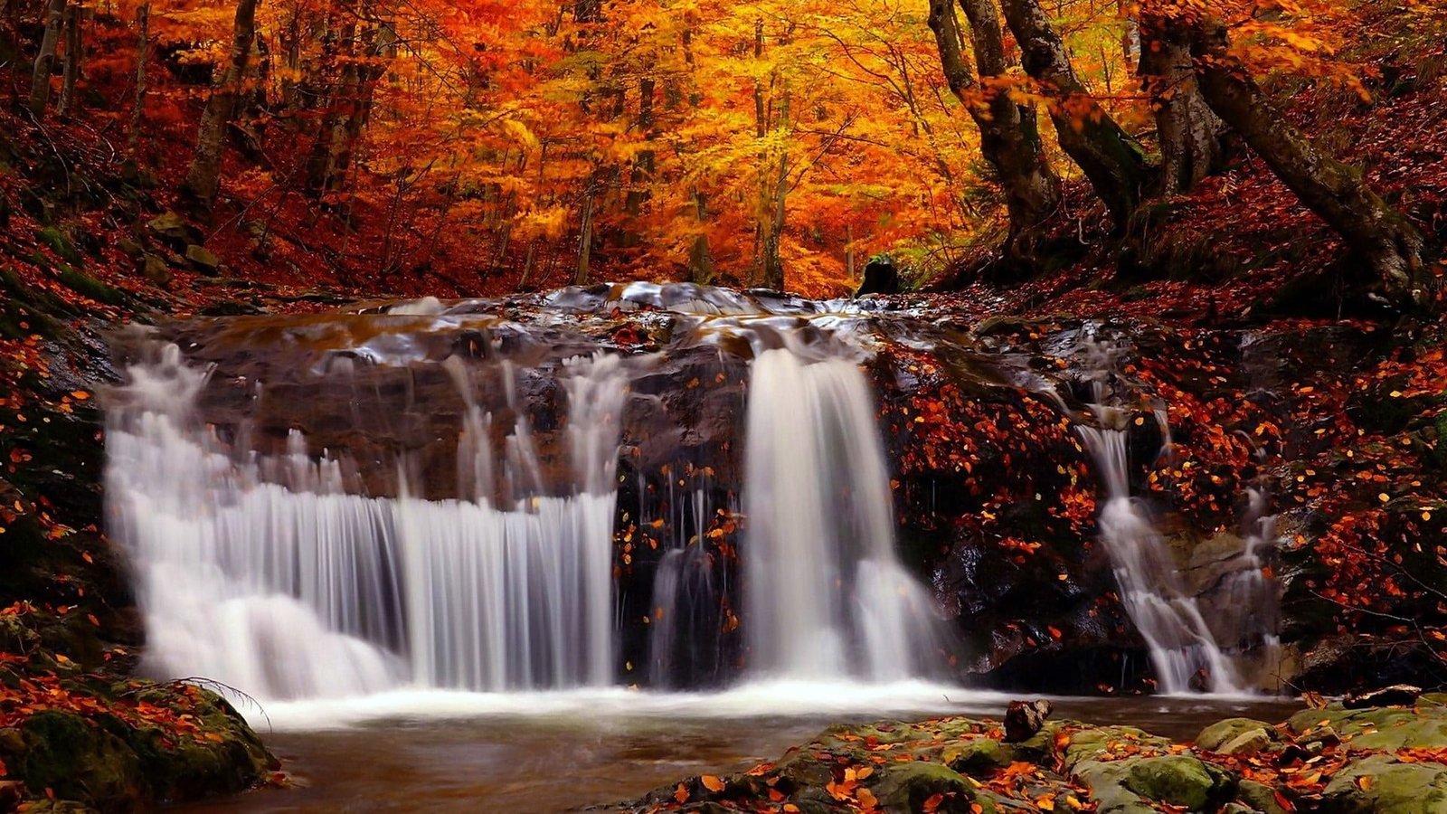 orange and red maple trees waterfall nature landscape river 2k