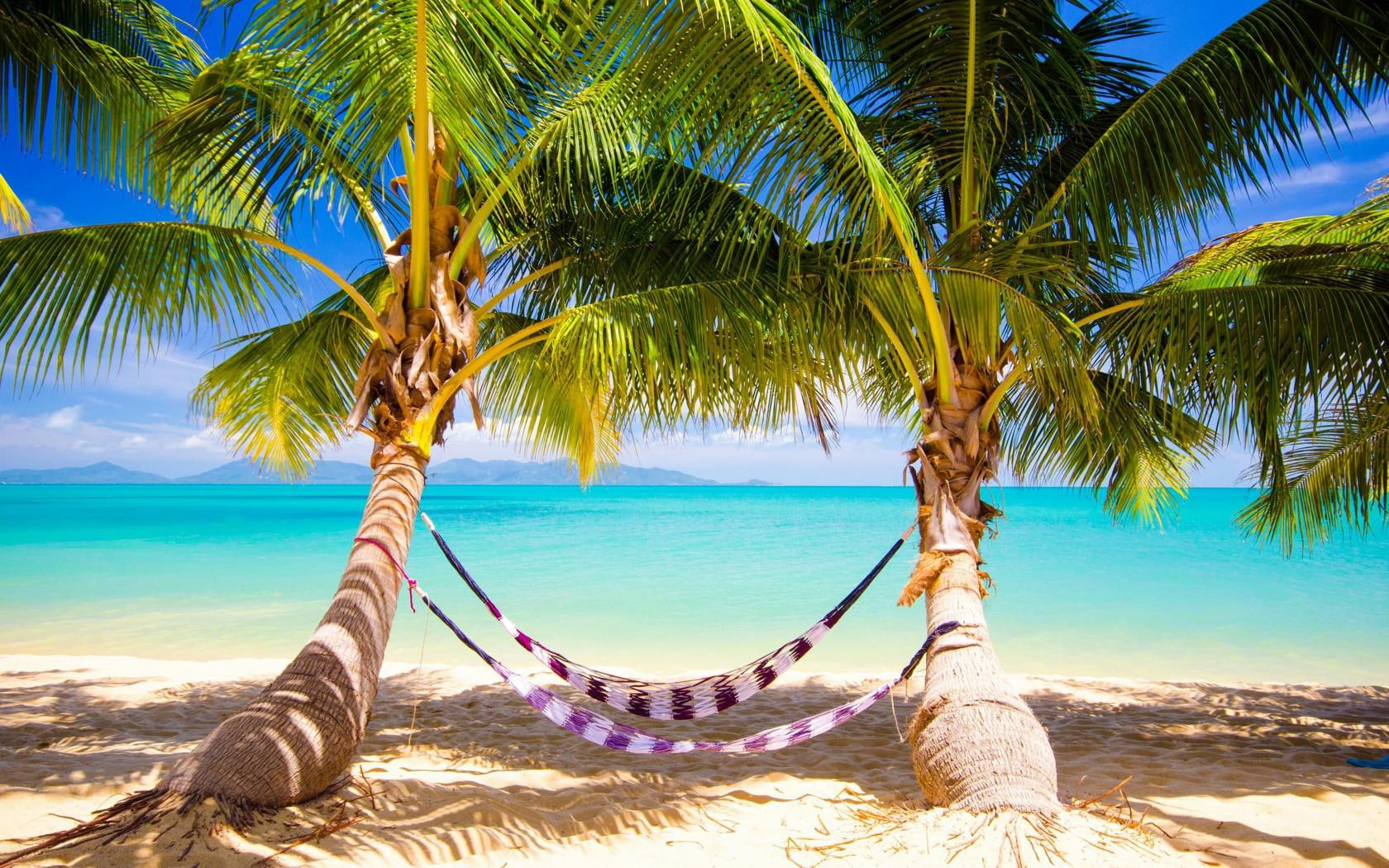 tropics sand beach ocean palm trees hammocks 2k