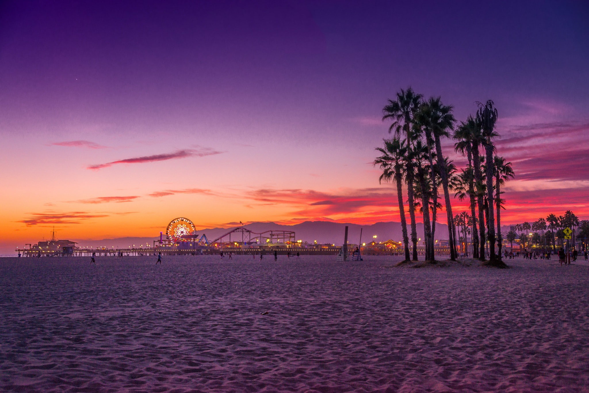 Los Angeles Santa Monica beach silhouette of trees USA California 2k