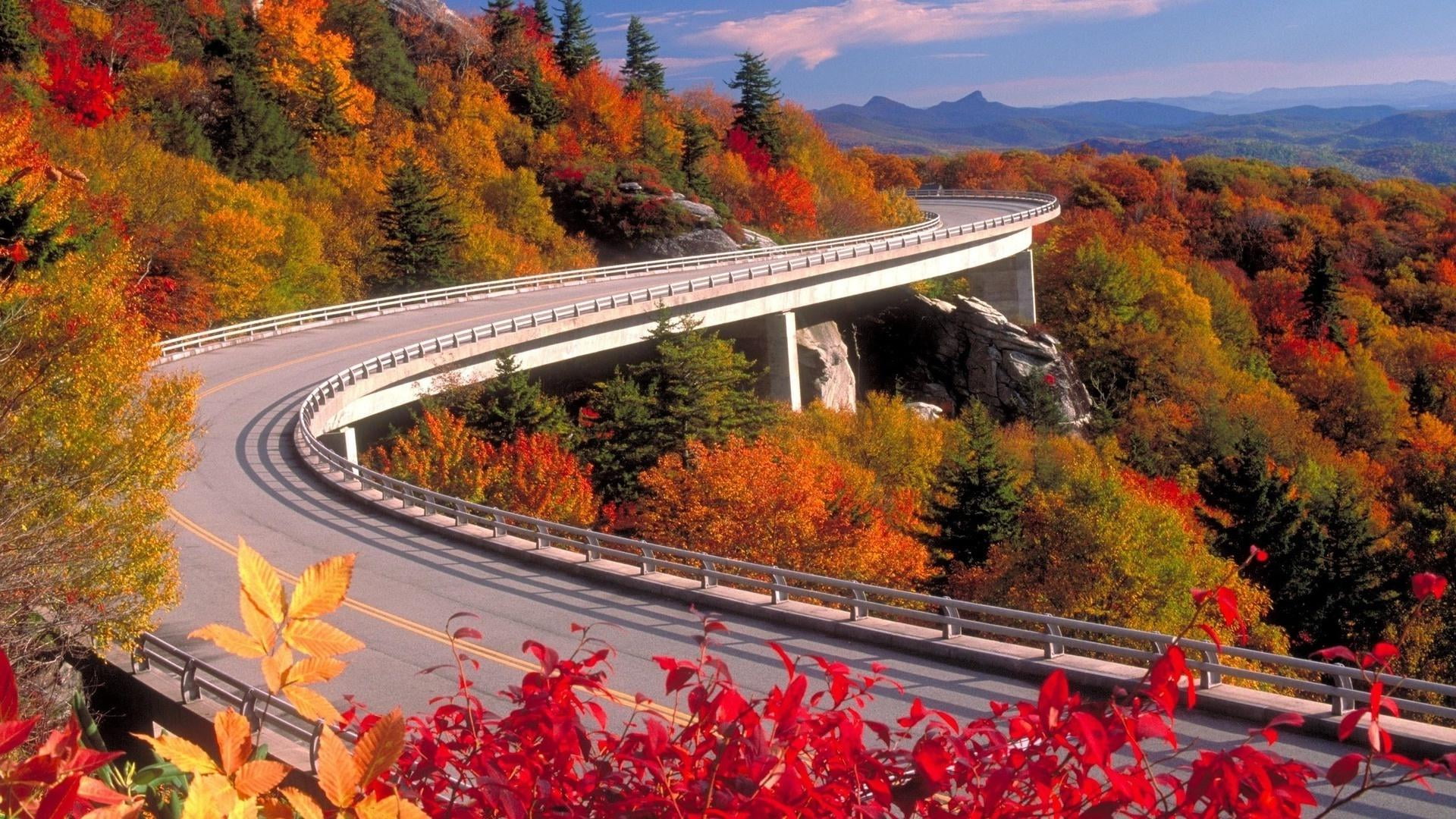 nature stadium structure city building architecture bridge 2k