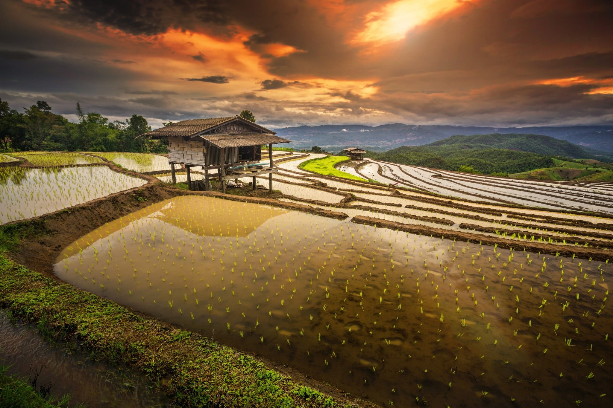 brown hut rice paddy terraces water clouds hills field 2k