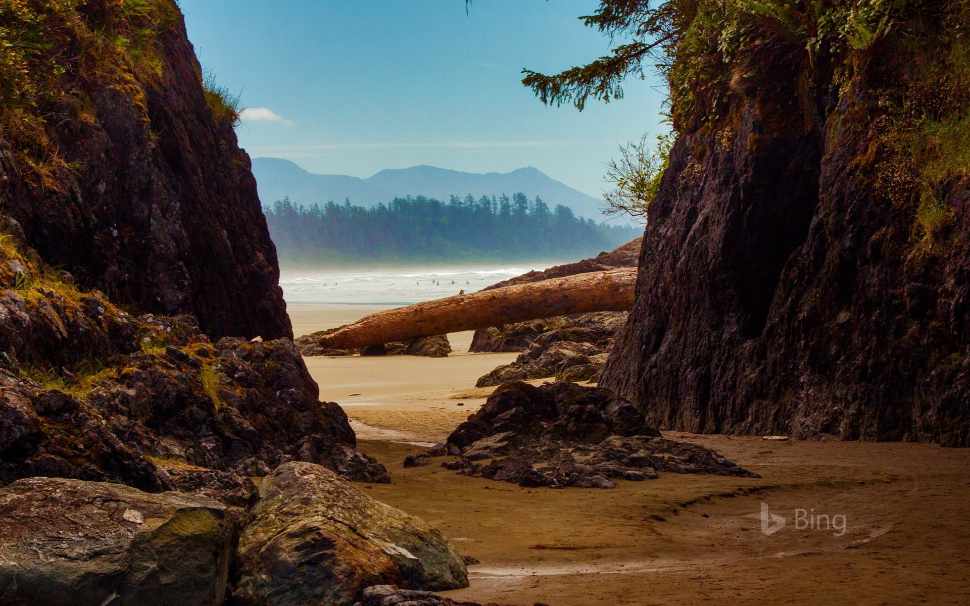 Canada Beach near Tofino Vancouver Island Bin water tranquility 2k