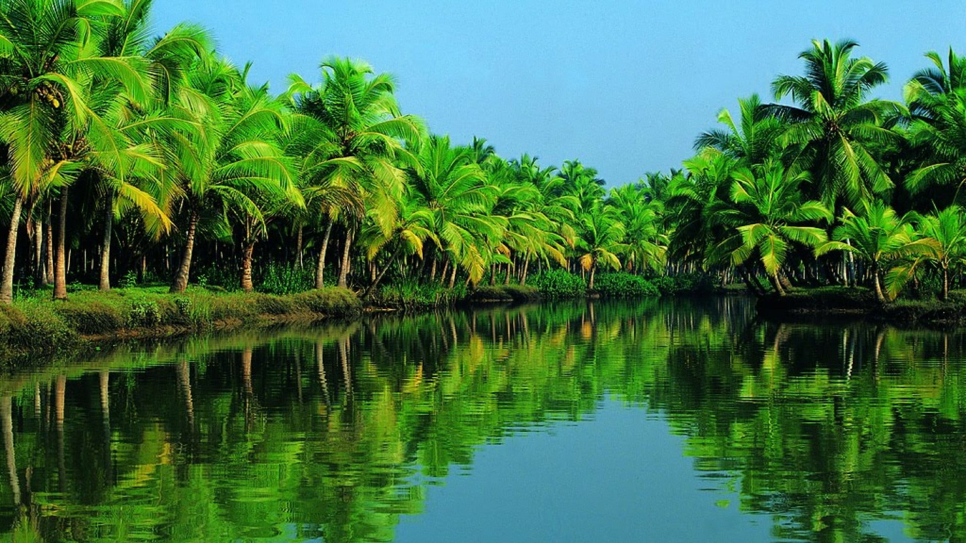 india asia forest river sky bank kerala alappuzha tropics 2k