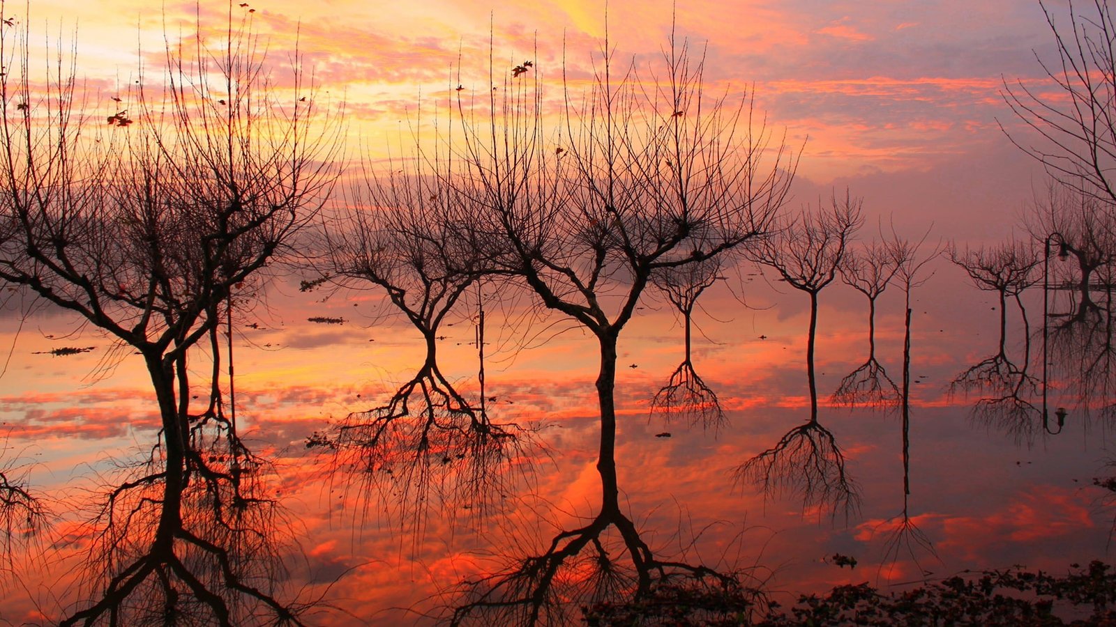 nature sun sunset sunrise sky silhouette orange star 2k