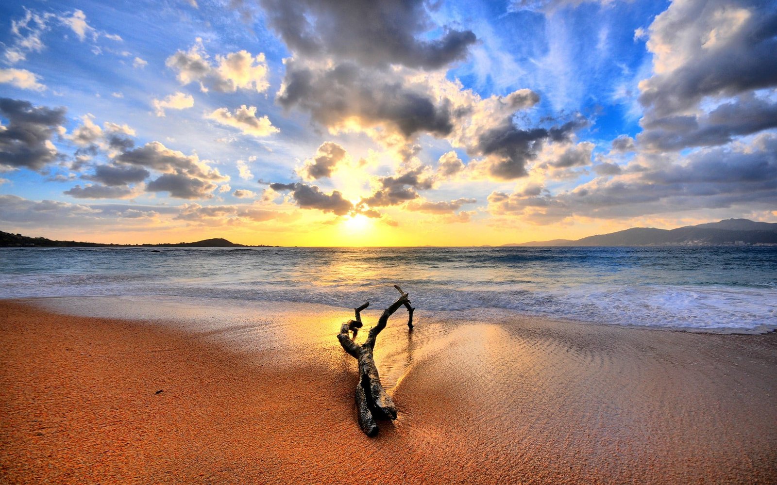 seashore nature landscape sky beach wood clouds sunlight 2k