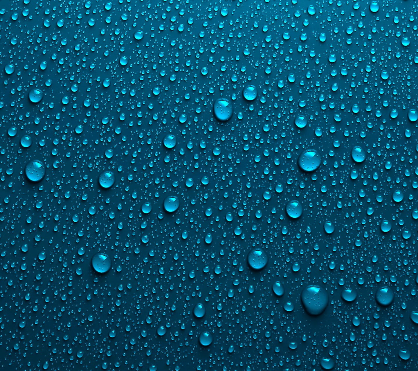 water bubbles nature backgrounds wet drop no people full frame