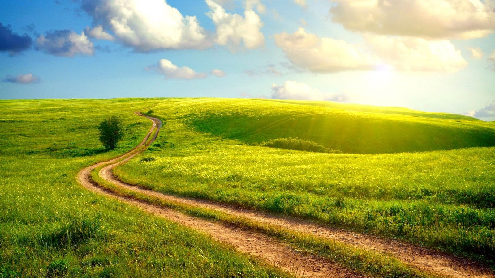 images backgrounds nature 2k